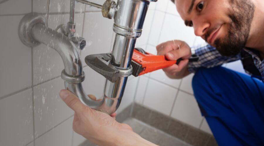 Professional Leak Detection Services in Lacota, MI